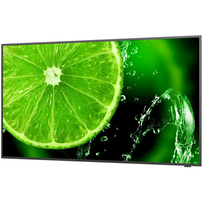 NEC MultiSync® E658 LCD 65" Essential Large Format Display