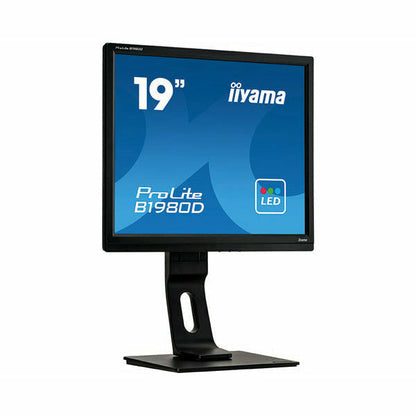 iiyama ProLite B1980D-B1 19" TN LED-backlit Monitor