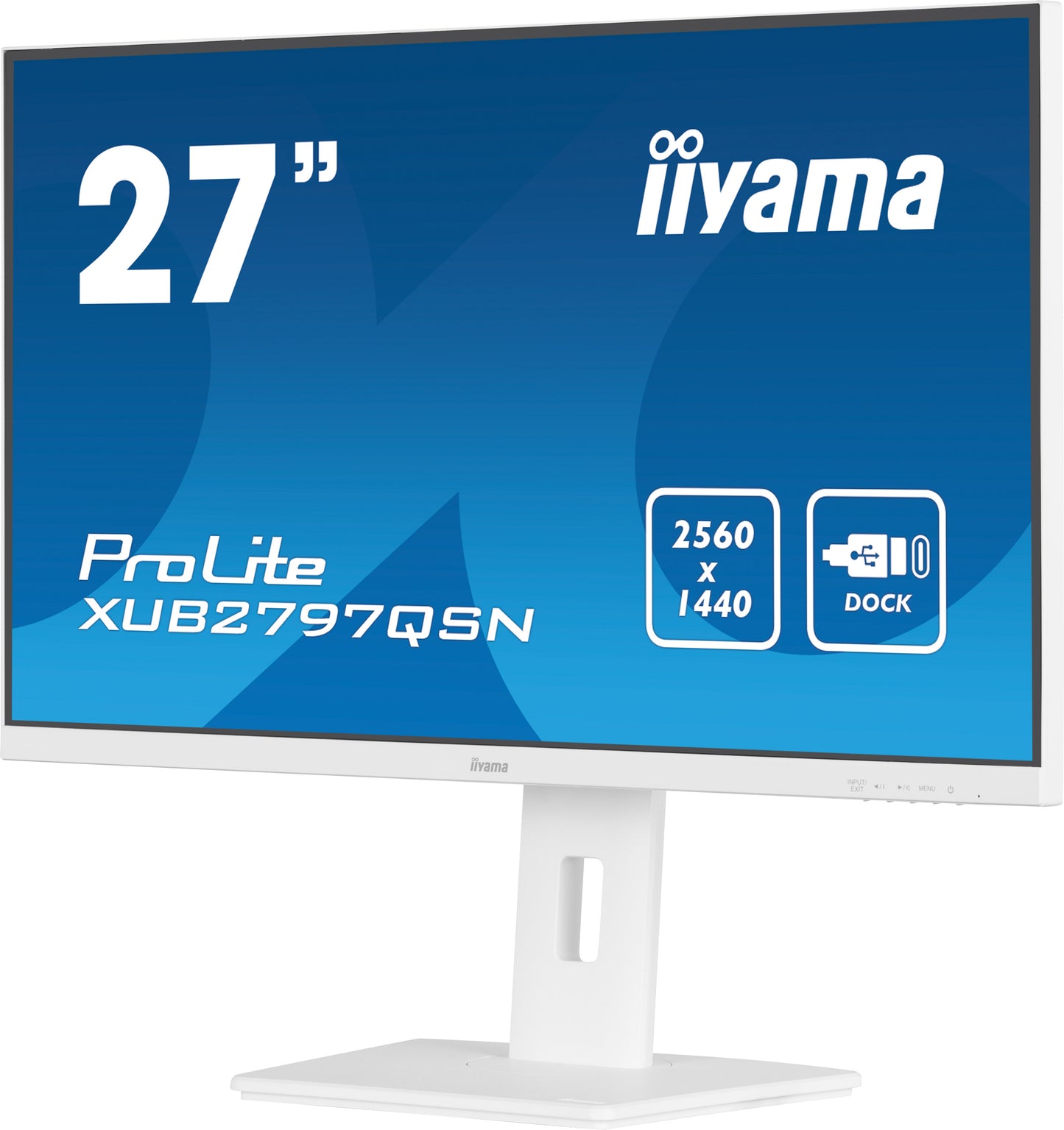 iiyama ProLite XUB2497HSN-B1 24" LED Full HD Display with USB-C & RJ45 (LAN) in White